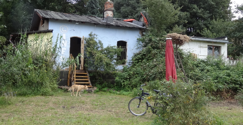 freiraum elbtal infocafe