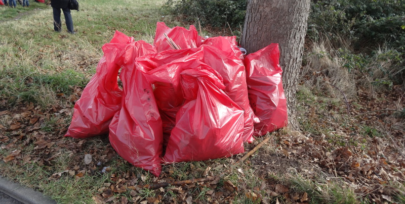 elbwiesenreinigung 1704