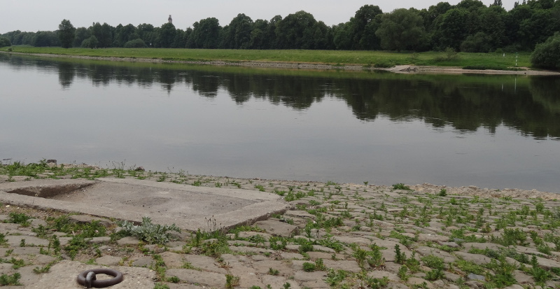 faehre-pieschen-2705