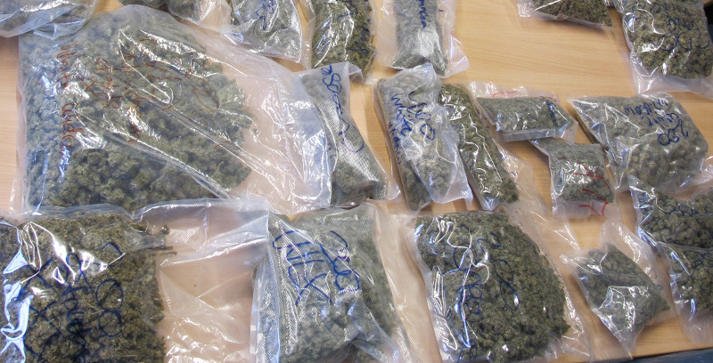 polizei-sichergestellte-cannabisblueten