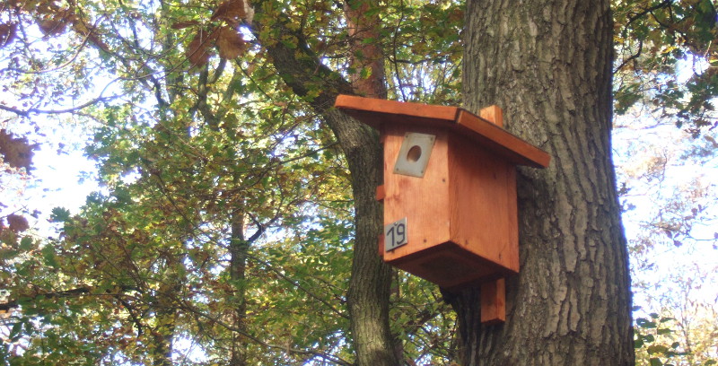 nistkasten-heidefriedhof