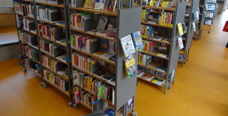 bibliothek pieschen