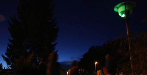 maul glühwürmchen 0307