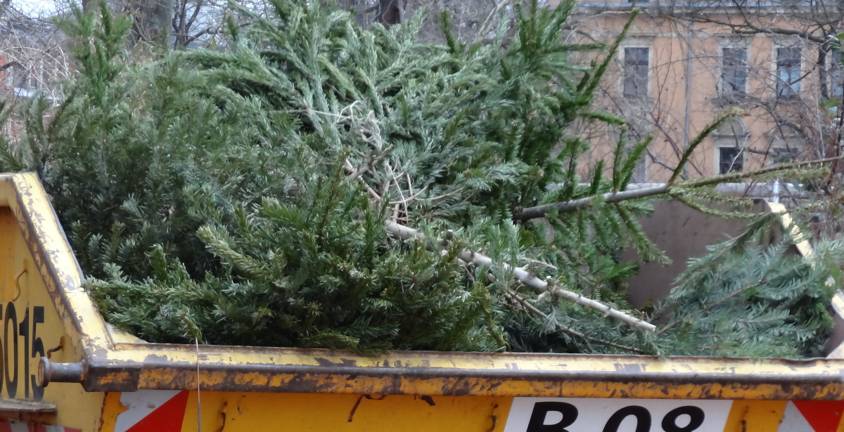 weihnachtsbaum entsorgen