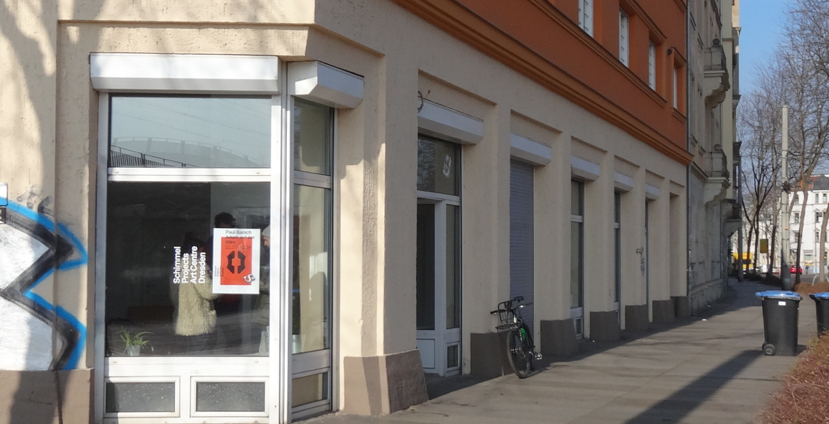 schimmelproject 0304