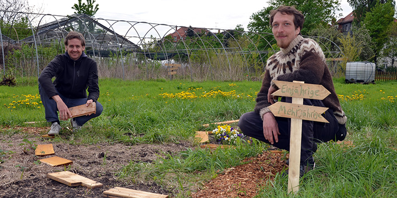 Gemeinschaftsgarten "Wurzelwerk"