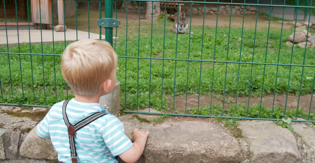 mutter kind tierpark