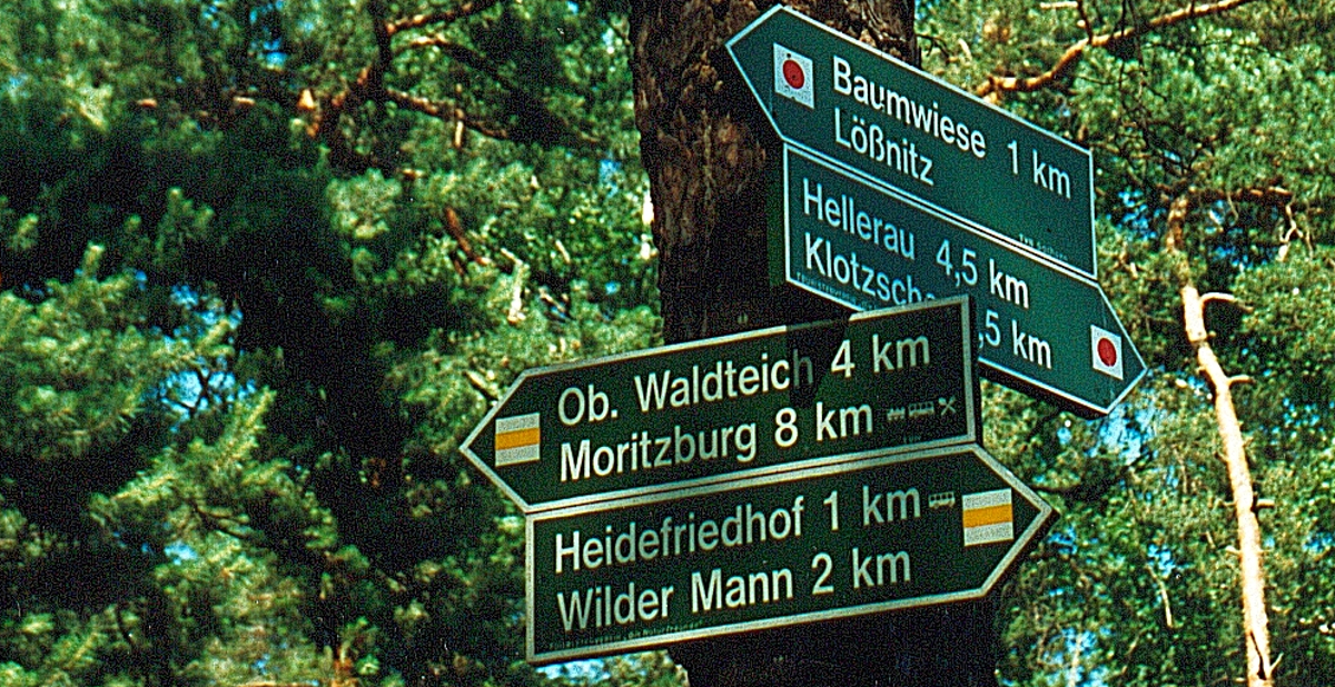 Wegweiser in der Jungen Heide