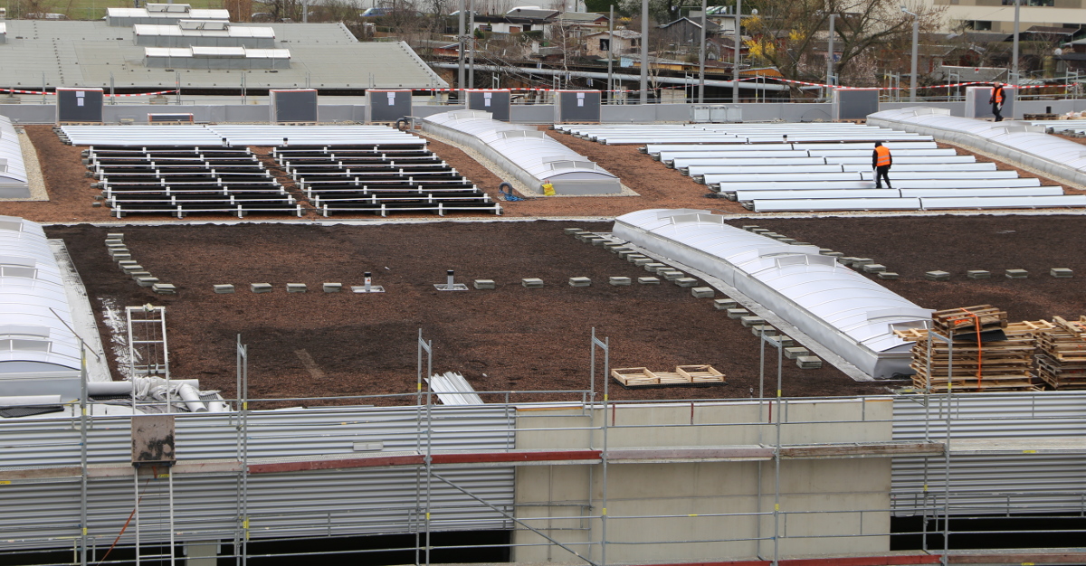 dvb trachenberge solar