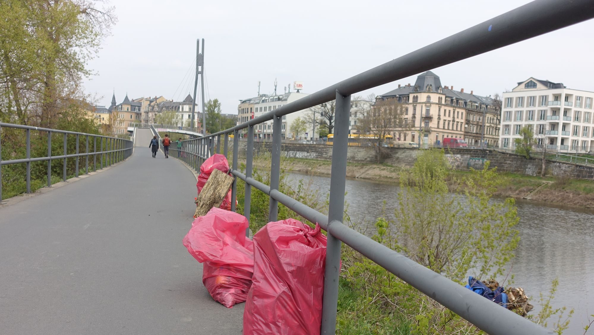 Elbwiesenreinigung - Foto: Archiv Pieschen-Aktuell