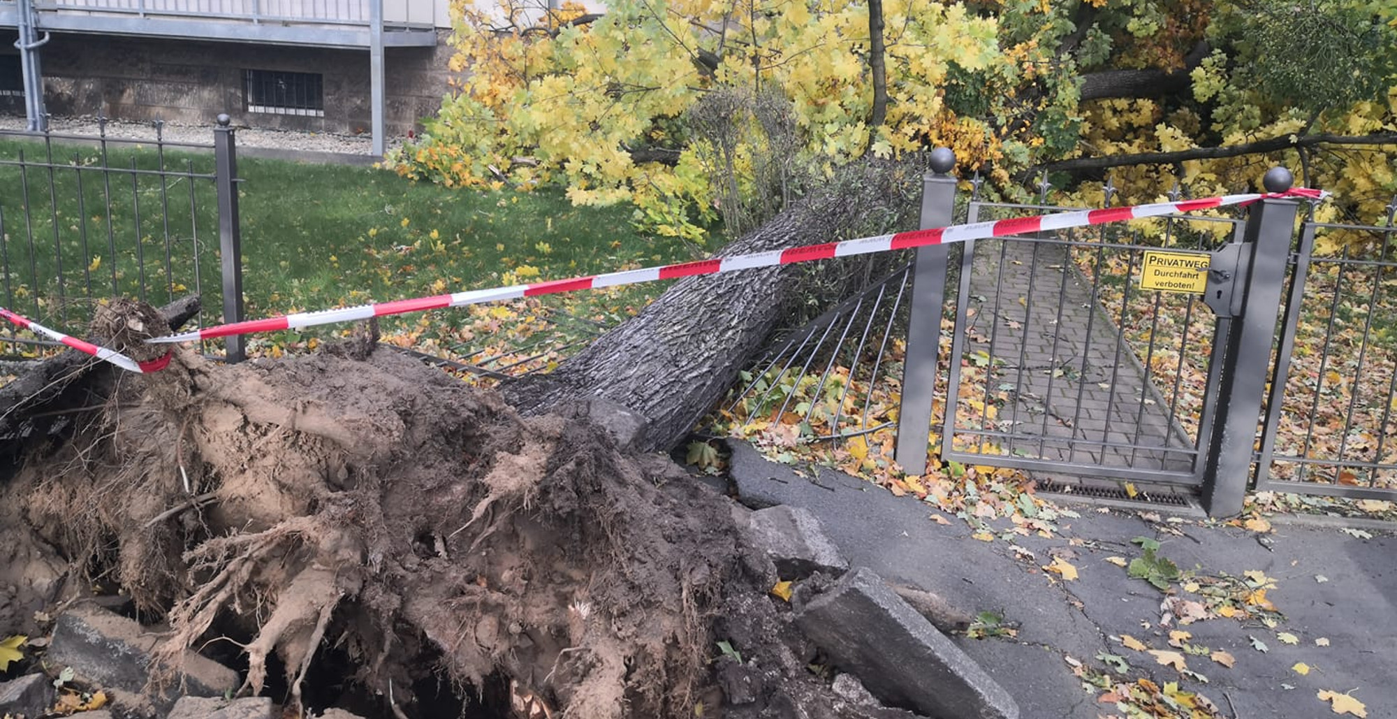 Strumschäden Weinbergstraße
