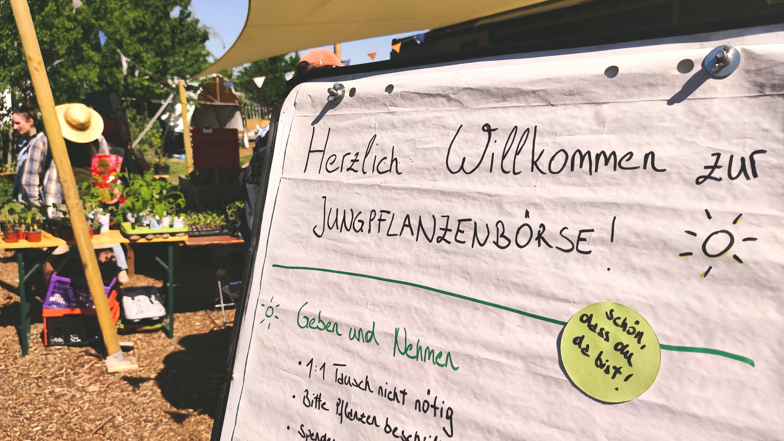 Pflanzentauschbörse in der Alten Gärtnerei Pieschen - Foto: Maren Kaster