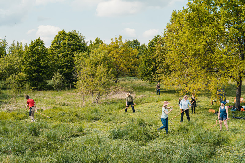 Sensen-Workshop mit Senseingenious auf den Hufewiesen. - Foto: Hufewiesen Trachau e.V.