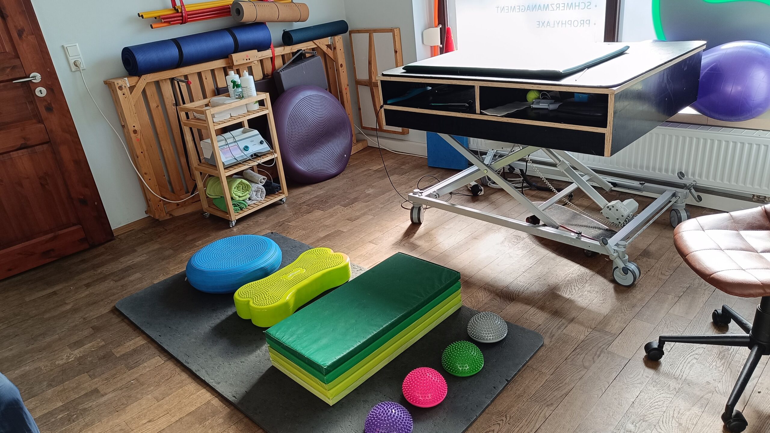 Im Sprech- und Behandlungszimmer der "Dogreha".