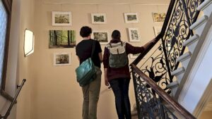 Die Ausstellung "Was uns bewegt..." ist auch im Treppenhaus des Rathauses zu sehen. Foto: J. Frintert