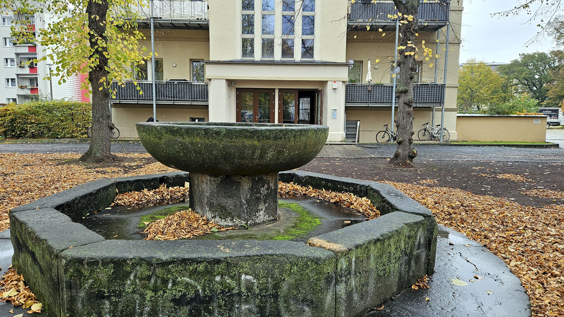 Die Sandsteinschale mit Einfassung erinnert an einen Brunnen. Es war aber offenbar noch nie einer. Foto: J. Frintert
