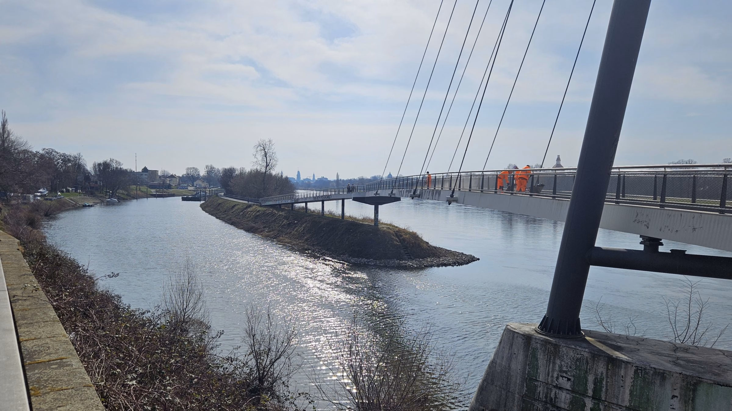 Das WSA hat mehr zurückgeschnitten, als vereinbart. Foto: J. Frintert
