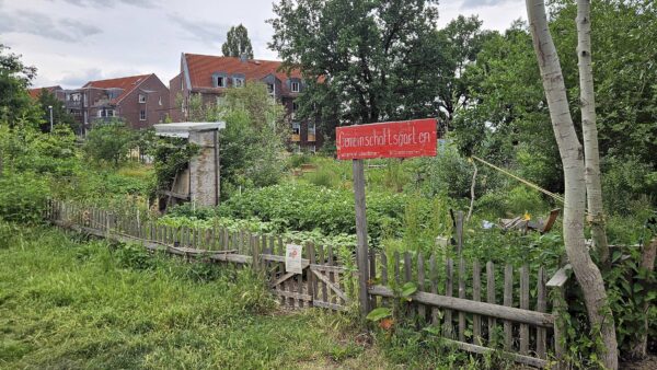 Gemeinschaftsgarten der Ufer-Projekte in Pieschen - Foto: J. Frintert